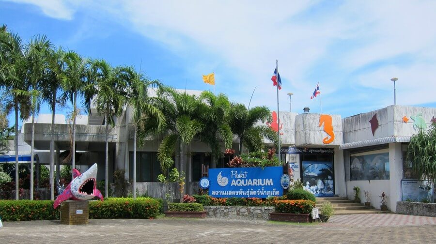Фото: Phuket Aquarium (สถานแสดงพันธุ์สัตว์น้ำภูเก็ต)